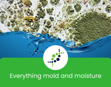 Default blog thumbnail image for The Solutions Group, showing mold and water with the wording 