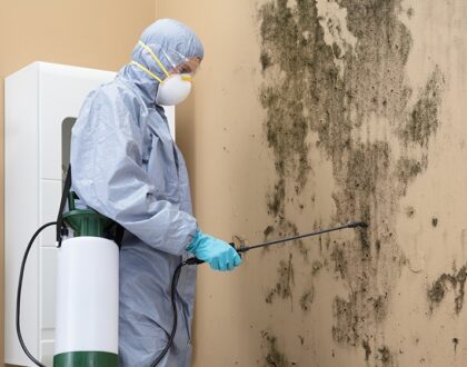 A professional in full protective gear, including a mask, is spraying a chemical treatment on a wall heavily affected by mold.